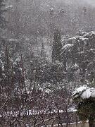 29 dicembre 2005  ore 9 25m - Gorizia-Piedimonte  - 03