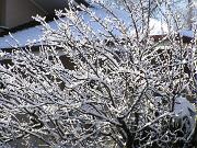 30 dicembre 2005  ore 11  - Gorizia-Via Aquileia   04