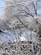 30 dicembre 2005  ore 11  - Gorizia-Via Aquileia   05