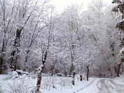 30 dicembre 2005  ore 9  - Gorizia-Loc. Groina  - 01