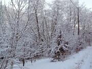 30 dicembre 2005  ore 9  - Gorizia-Loc. Groina  - 02