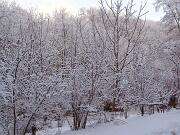 30 dicembre 2005  ore 9  - Gorizia-Loc. Groina  - 03