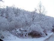 30 dicembre 2005  ore 9  - Gorizia-Loc. Groina  - 04