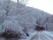 30 dicembre 2005  ore 9  - Gorizia-Loc. Groina  - 05