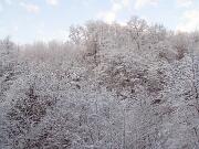 30 dicembre 2005  ore 9  - Gorizia-Loc. Groina  - 06