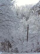 30 dicembre 2005  ore 9  - Gorizia-Loc. Groina  - 07