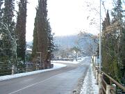 Barnaba 30.12 (5)  30 dicembre 2005 - ore 16:20 Gorizia -ponte del Torrione