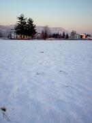 IM000751.JPG  30 dicembre 2005 - ore 16:20 Gorizia  03