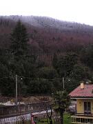 25 gennaio 2007 - Gorizia-Piedimonte ore 8 - limite nevicata della nottata 200 mt.JPG  Nevicata a più bassa quota il giorno 25 gennaio sopra i 200 metri