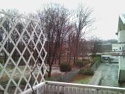 1 gennaio 2009  ore 08 30m  - Gorizia-Piedimonte  02  1 gennaio 2009 ore 08 30m - Gorizia-Piedimonte 02