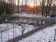 18 febbraio 2009  ore 7 40m  - Gorizia-Piedimonte   03