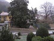 17 gennaio 2010  ore 08 34m  - Gorizia-Piedimonte   02