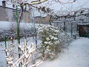 19  Dicembre 2009  - Gorizia-Centro  01