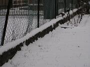 19  Dicembre 2009  - Gorizia-Via Aquileia  04