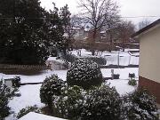 30 gennaio 2010  ore 08 25m  - Gorizia-Piedimonte   02