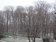 4 gennaio 2010  ore 14 30m  - Gorizia-Piedimonte   04