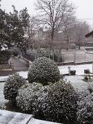 4 gennaio 2010  ore 15 30m  - Gorizia-Piedimonte   01