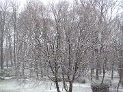 4 gennaio 2010  ore 15 30m  - Gorizia-Piedimonte   02