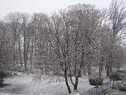 4 gennaio 2010  ore 15 50m  - Gorizia-Piedimonte   08