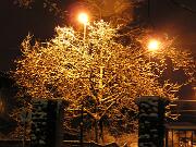 4 gennaio 2010  ore 21 30m  - Gorizia-Piedimonte   10