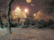 4 gennaio 2010  ore 21 30m  - Gorizia-Piedimonte   14