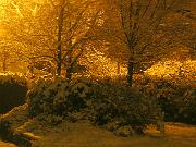 4 gennaio 2010  ore 22 00m  - Gorizia-Piedimonte   07