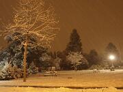 17-12-2010  ore 22-15   Loc. Gorizia  11