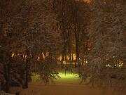 17-12-2010  ore 23-56   Loc. Piedimonte-Gorizia  08