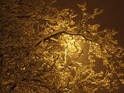 18-12-2010  ore 00-18   Loc. Piedimonte-Gorizia  11