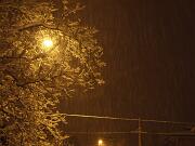 18-12-2010  ore 00-23   Loc. Piedimonte-Gorizia  15