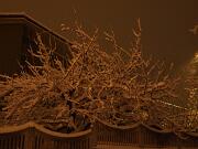 18-12-2010  ore 00-32   Loc. Piedimonte-Gorizia  20