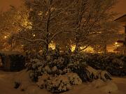 18-12-2010  ore 00-34   Loc. Piedimonte-Gorizia  21