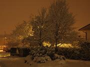 18-12-2010  ore 00-37   Loc. Piedimonte-Gorizia  24