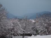 18-12-2010  ore 07-54   Loc. Piedimonte-Gorizia  25