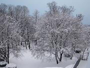 18-12-2010  ore 07-56   Loc. Piedimonte-Gorizia  29