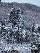 18-12-2010  ore 08-00   Loc. Piedimonte-Gorizia  32