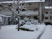 18-12-2010  ore 08-21   Loc. Piedimonte-Gorizia  34