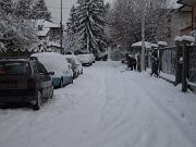 18-12-2010  ore 08-21   Loc. Piedimonte-Gorizia  35