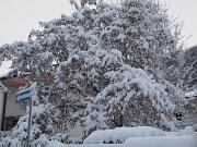 18-12-2010  ore 08-21   Loc. Piedimonte-Gorizia  36