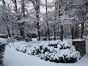 18-12-2010  ore 08-21   Loc. Piedimonte-Gorizia  37