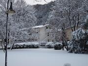 18-12-2010  ore 08-22   Loc. Piedimonte-Gorizia  38