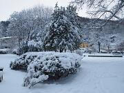 18-12-2010  ore 08-22   Loc. Piedimonte-Gorizia  39