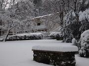 18-12-2010  ore 08-23   Loc. Piedimonte-Gorizia  40