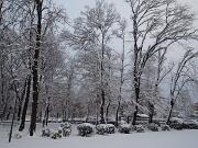 18-12-2010  ore 08-23   Loc. Piedimonte-Gorizia  41