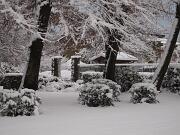 18-12-2010  ore 08-28   Loc. Piedimonte-Gorizia  42