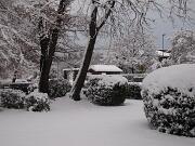 18-12-2010  ore 08-29   Loc. Piedimonte-Gorizia  43