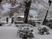 18-12-2010  ore 08-30   Loc. Piedimonte-Gorizia  44