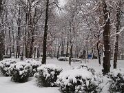 18-12-2010  ore 08-31   Loc. Piedimonte-Gorizia  45