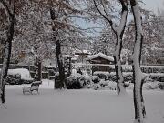 18-12-2010  ore 08-31   Loc. Piedimonte-Gorizia  46