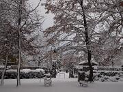 18-12-2010  ore 08-32   Loc. Piedimonte-Gorizia  48